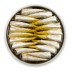Petites sardines à l'Huile d'Olive Piquante